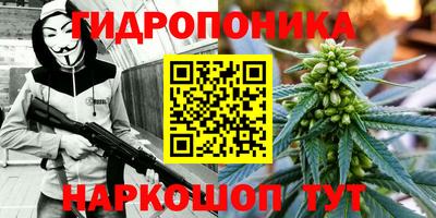 хмурый Новокубанск